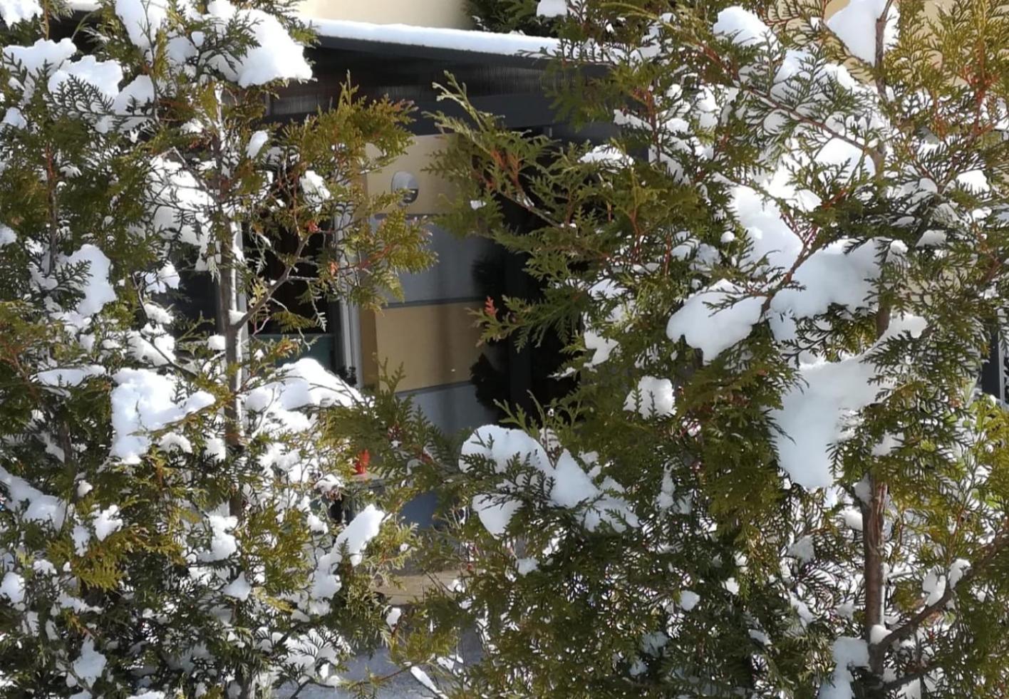Ferienwohnung Berolina Graal-Mueritz Exterior foto